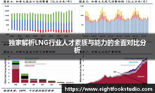 独家解析LNG行业人才素质与能力的全面对比分析