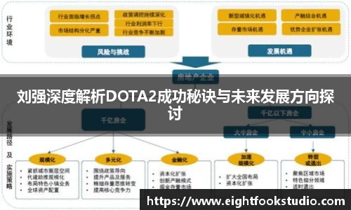 刘强深度解析DOTA2成功秘诀与未来发展方向探讨